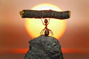 The only thing in life achieved without effort is failure. — Единственная вещь в жизни, которая дается без усилий, — неудача.