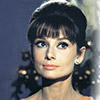 Audrey Hepburn Audrey Hepburn