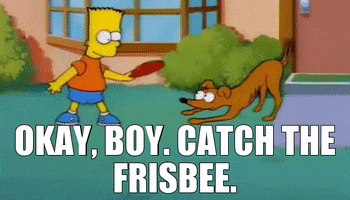 frisbee