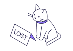Разница между loss и lost