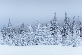 Времена года и месяцы в английском языке: winter — зима