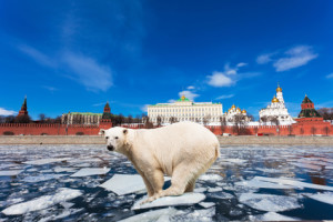 Не все мифы имеют право на существование. В России медведи не ходят по улицам, а русские преподаватели ничем не хуже зарубежных.