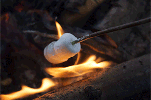 a marshmallow — американский зефир
