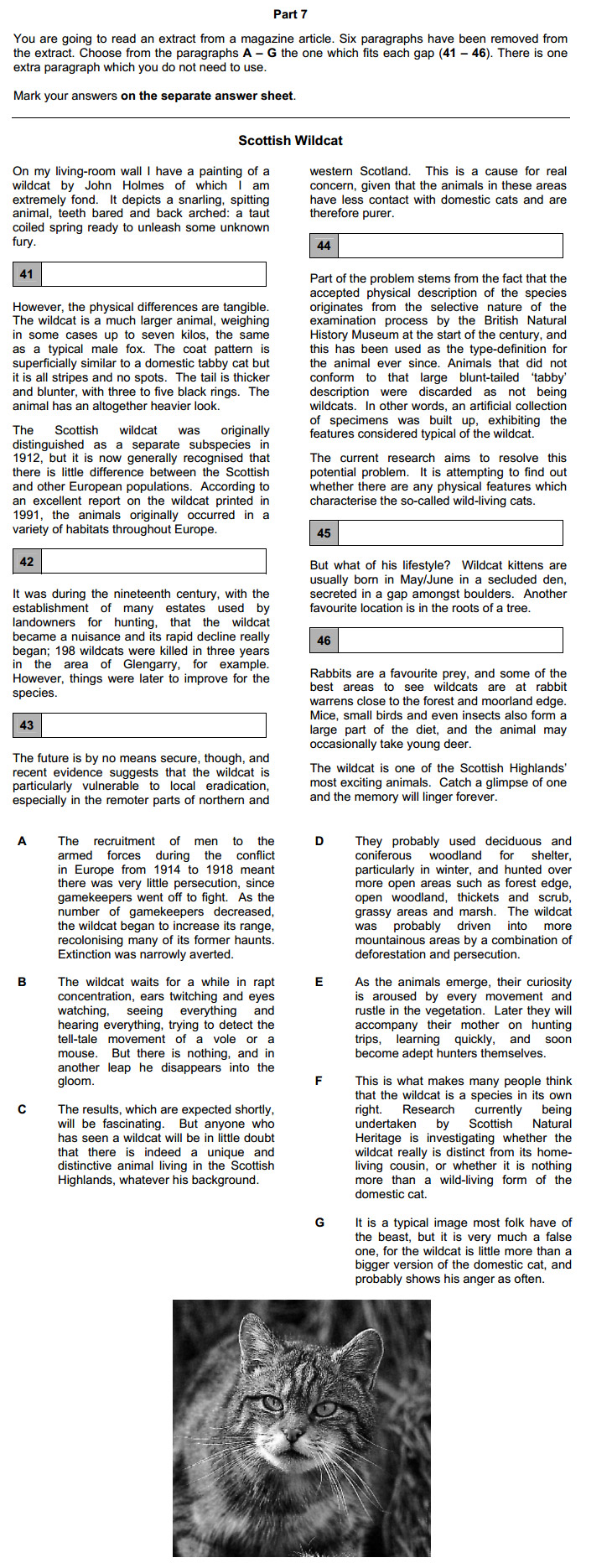 CAE: Reading and Use of English, задание 7